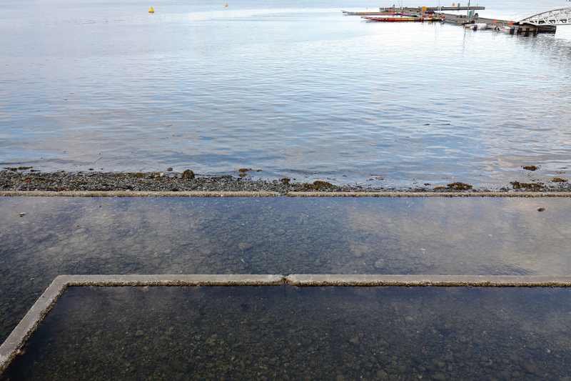 Illustration for article titled Pics from the Curbside: 2018-07-07 at Nanaimo
